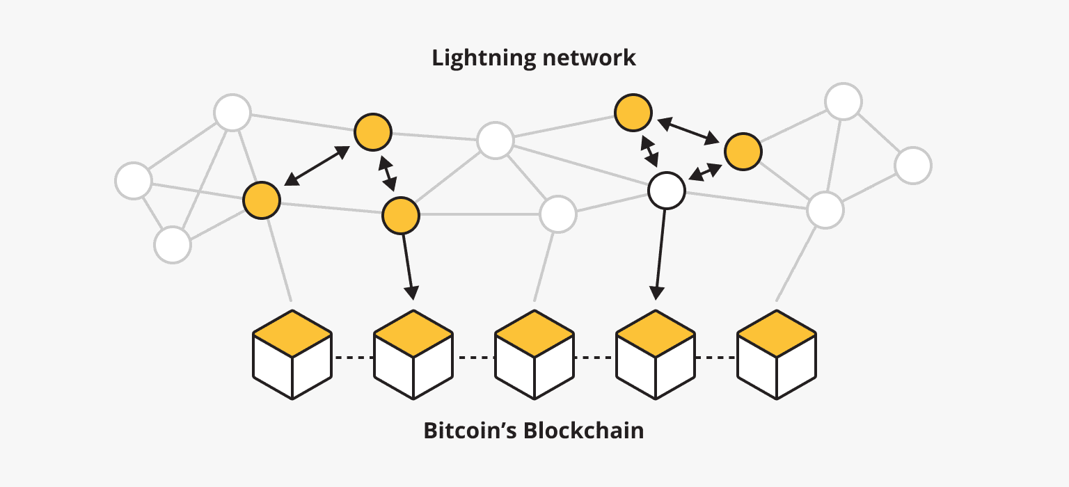 The Lightning Network visualized The Lightning Network visualized