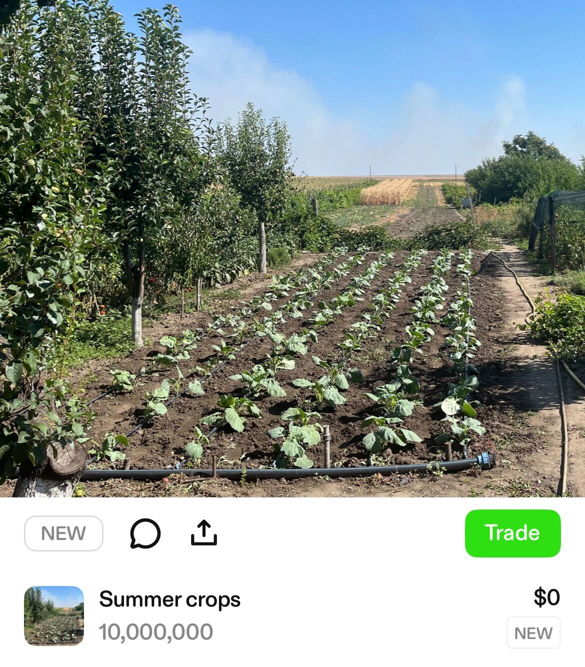 Coinbase, Base, Solana, Layer2, Memecoin, SocialFi, Features, Nansen